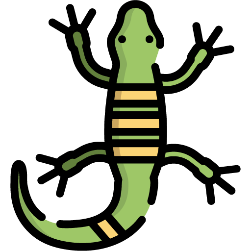 icon reptiles