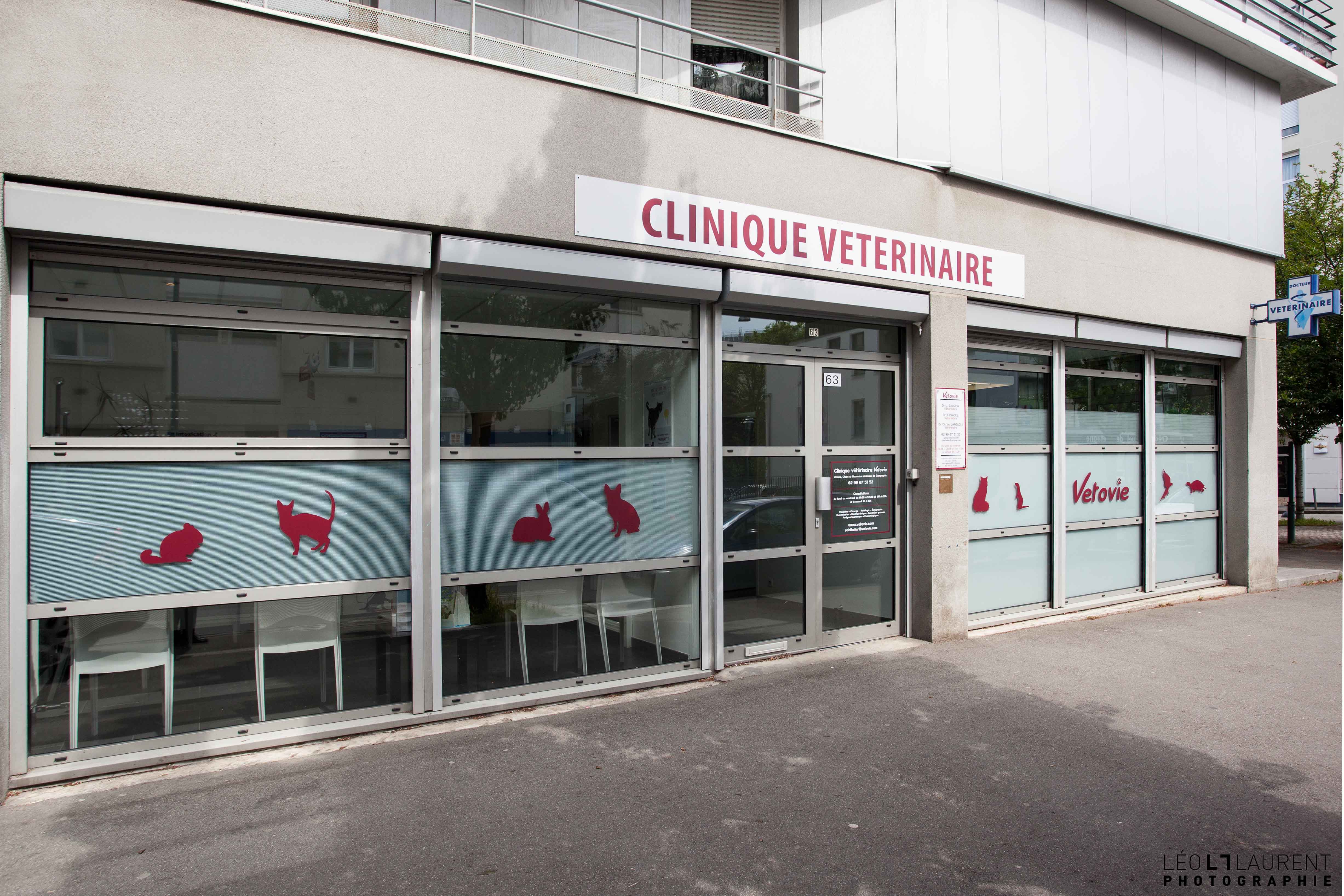 Clinique Vetovie Saint Hélier à Rennes - Vetovie
