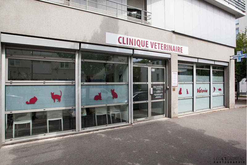 Clinique Vétérinaire Rennes St Helier