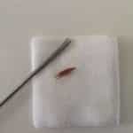 epillet